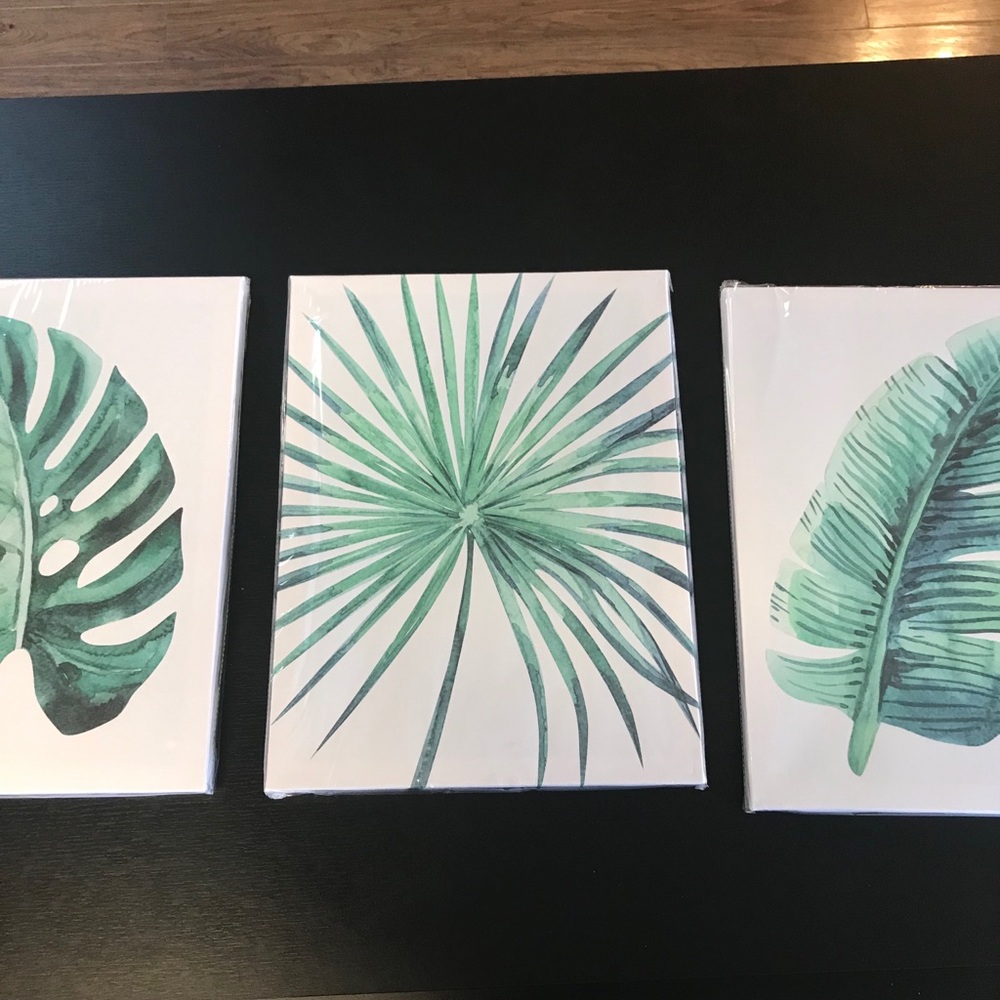 Set of 3 gorgeous canvases 11x16